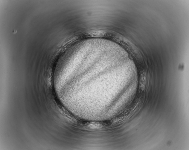 X0000099310604200805231405