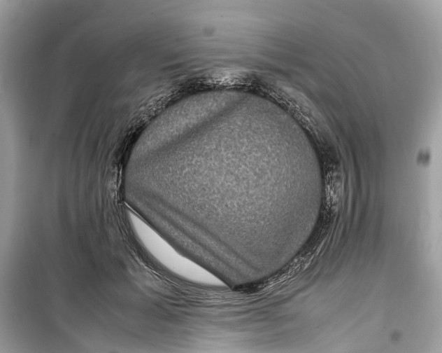 X0000099310605200805231405