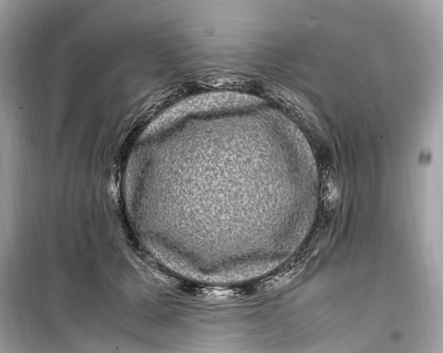 X0000099310607200805231405