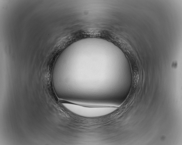 X0000099310609200805231405