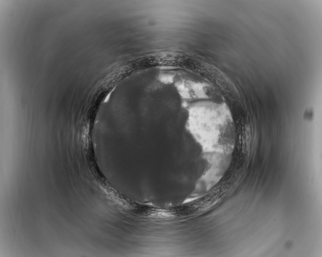 X0000099310610200805231405