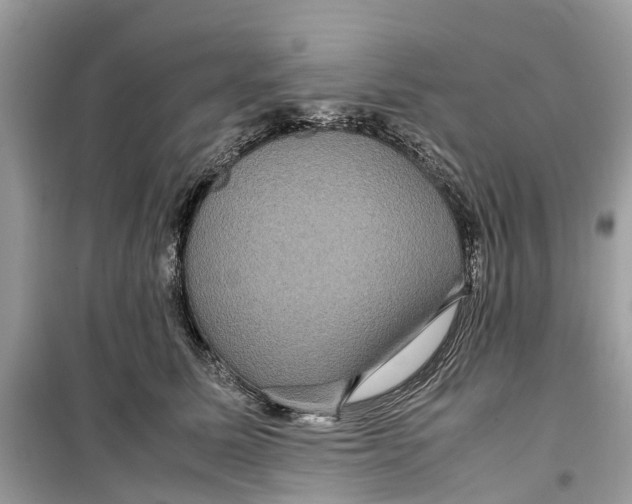 X0000099310611200805231405