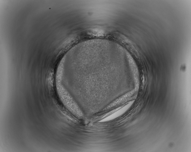 X0000099310612200805231405