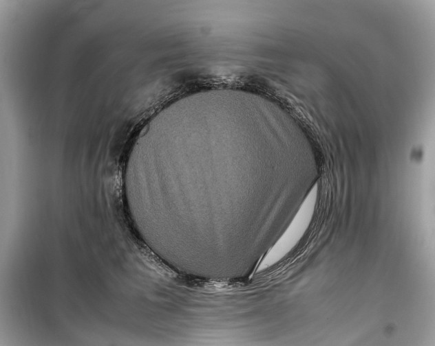 X0000099310613200805231405