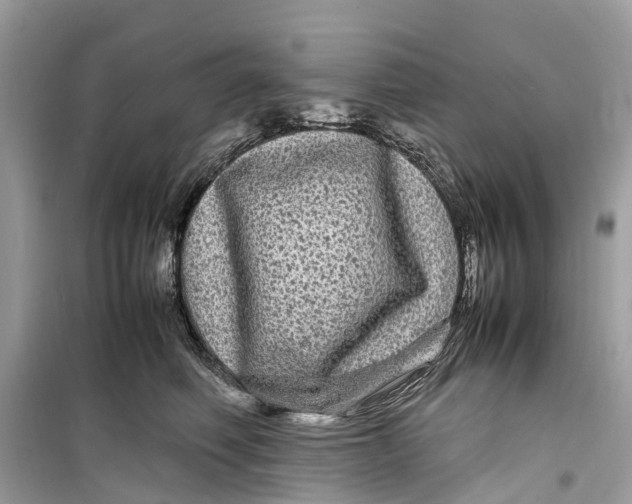 X0000099310614200805231405