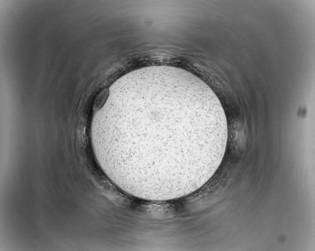 X0000099310615200805231404