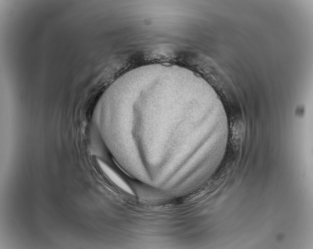 X0000099310617200805231404