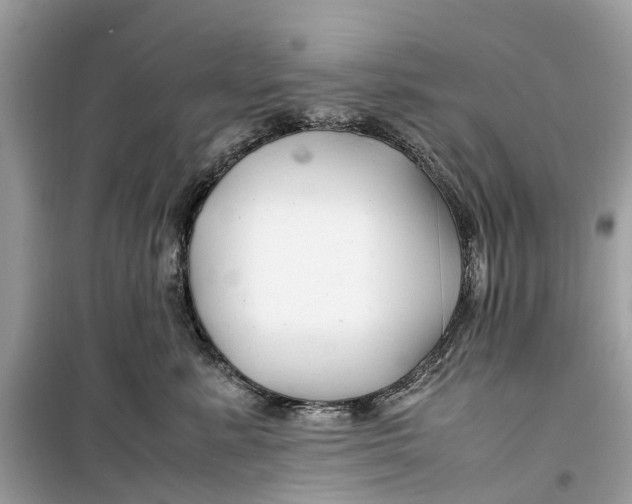 X0000099310619200805231404