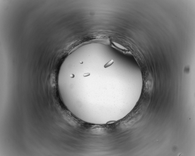 X0000099310620200805231404