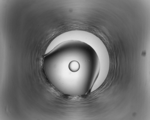 X0000099310621200805231404