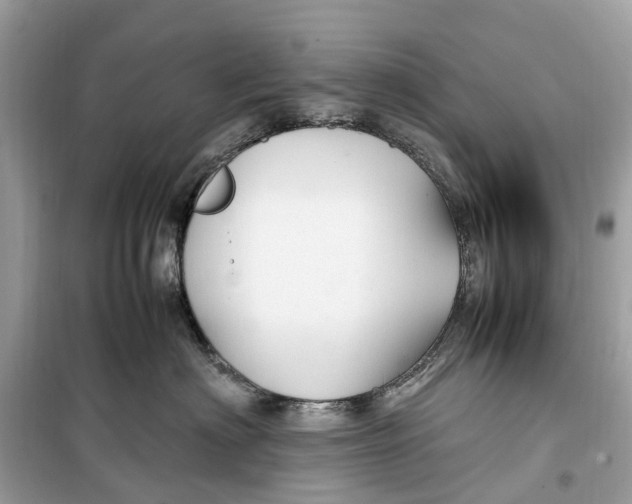 X0000099310622200805231404