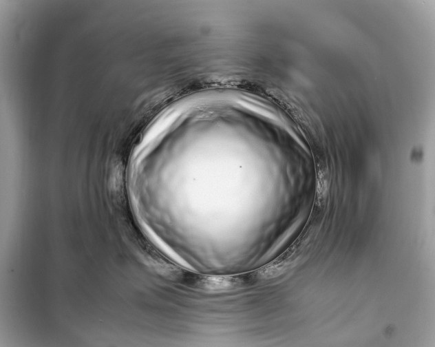 X0000099310623200805231404