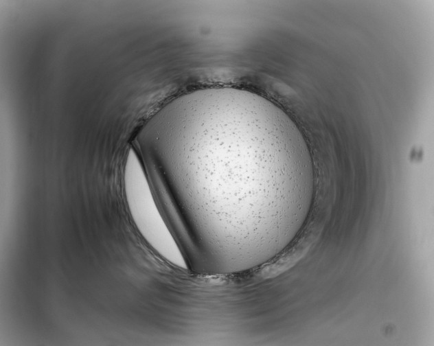 X0000099310624200805231404