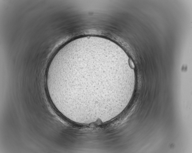 X0000099310625200805231404