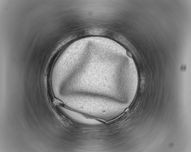 X0000099310626200805231404