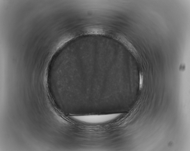 X0000099310627200805231404