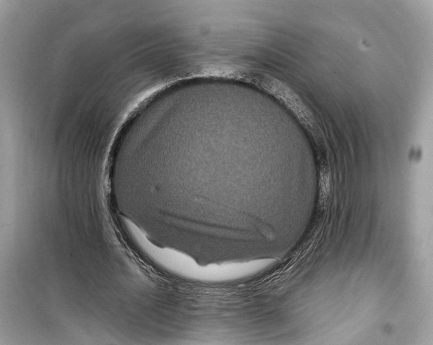 X0000099310628200805231404