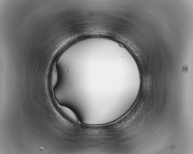 X0000099310629200805231404