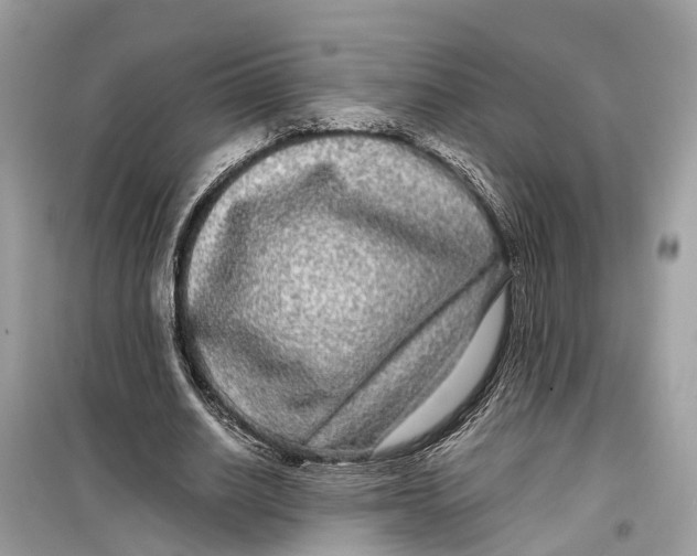 X0000099310630200805231404