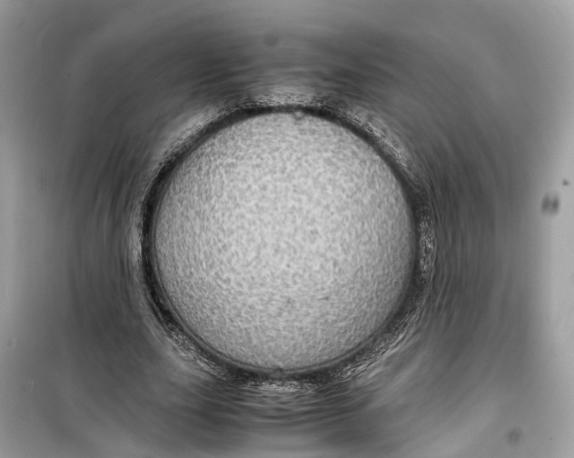 X0000099310631200805231404