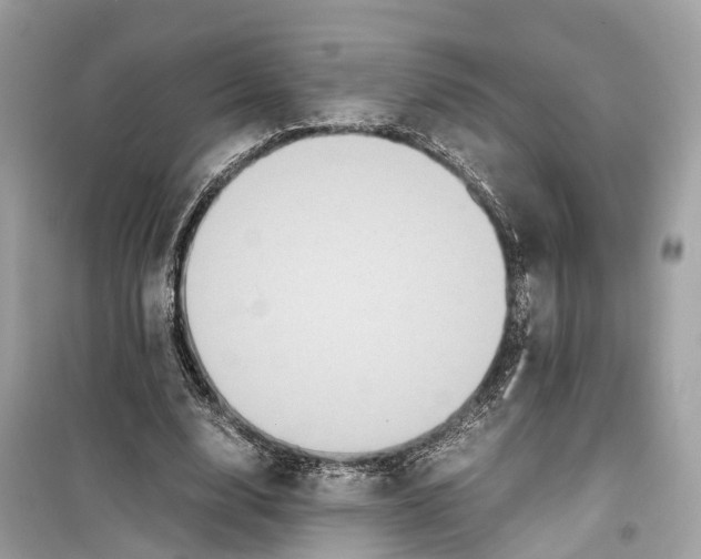 X0000099310632200805231404