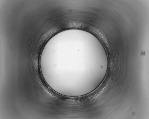 X0000099310633200805231404