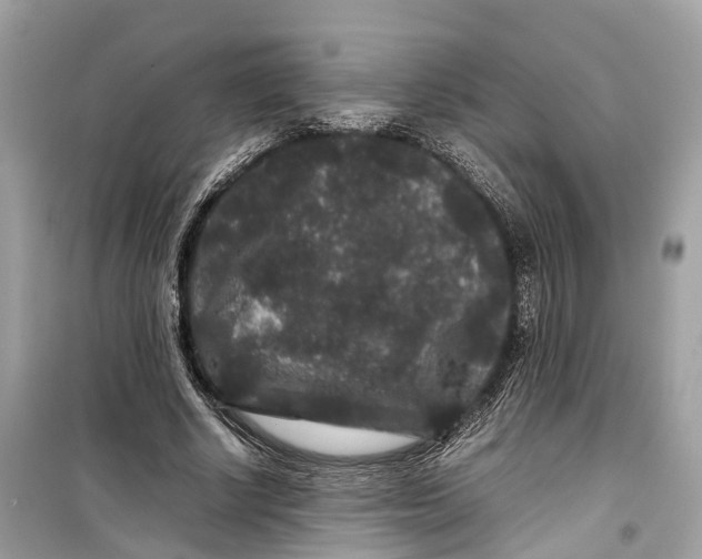 X0000099310634200805231404