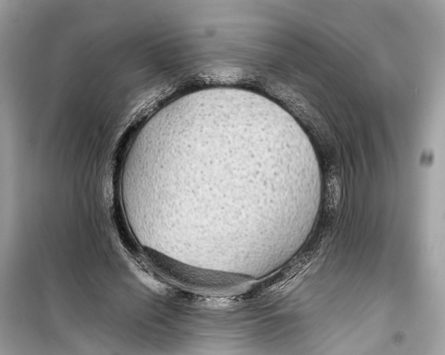 X0000099310638200805231404