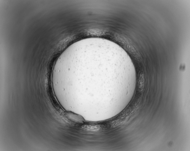 X0000099310639200805231404