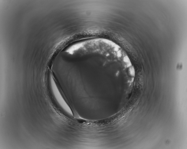 X0000099310640200805231404