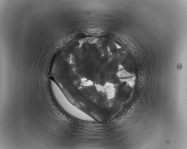 X0000099310641200805231404