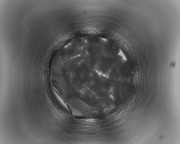 X0000099310643200805231404