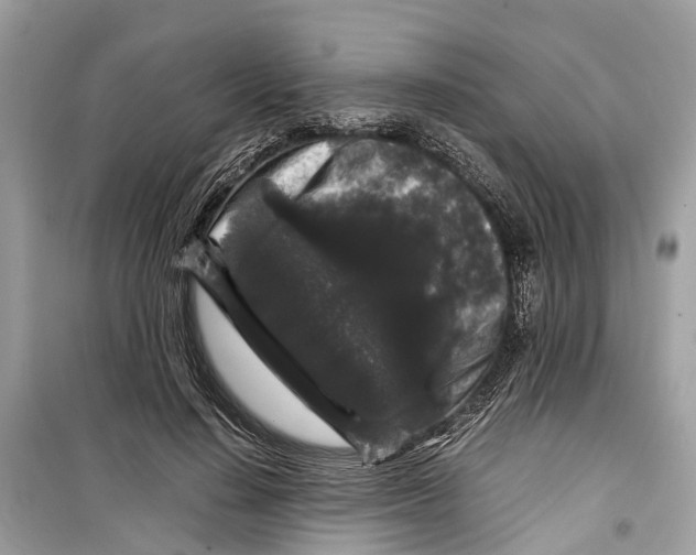 X0000099310644200805231404