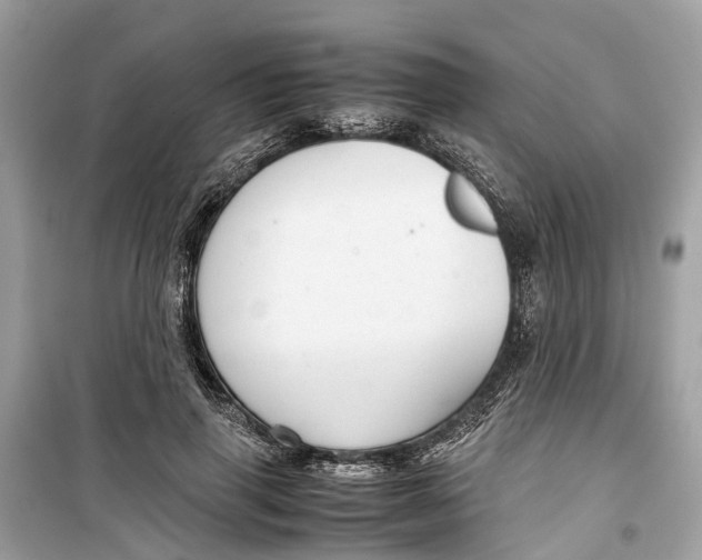 X0000099310645200805231404