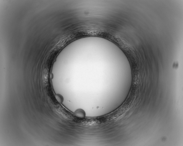 X0000099310646200805231404