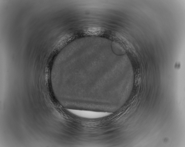 X0000099310647200805231404