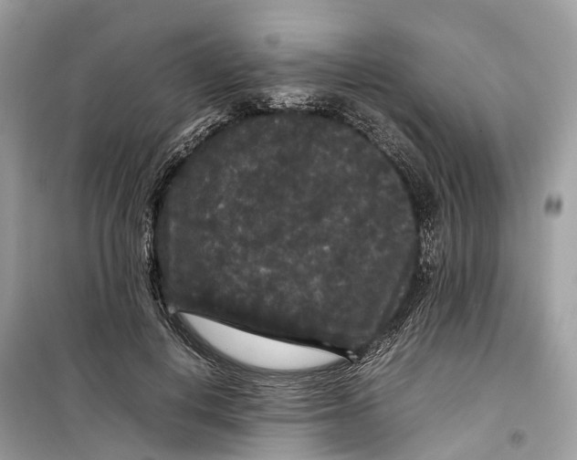 X0000099310648200805231404