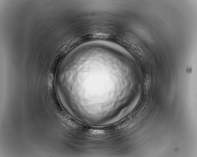 X0000099310649200805231404