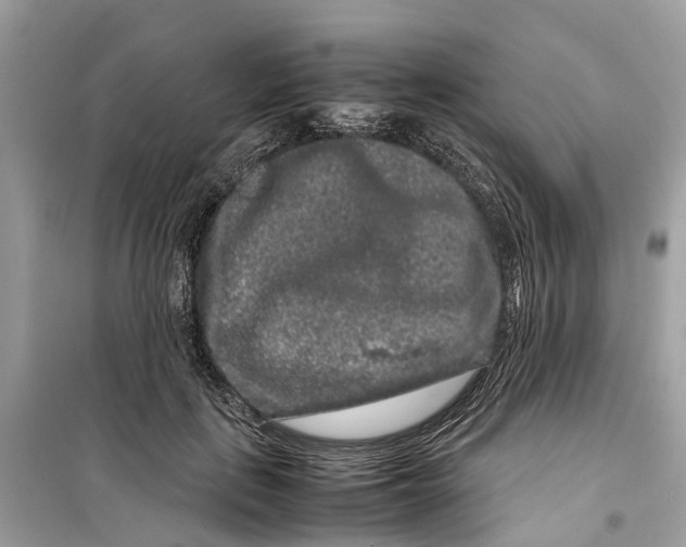 X0000099310651200805231404