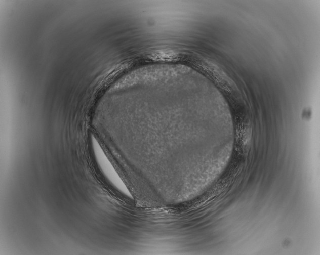 X0000099310652200805231404