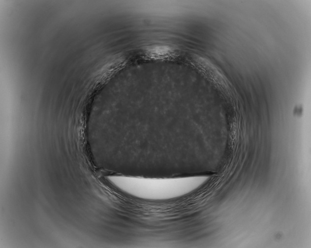 X0000099310653200805231404