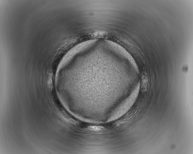 X0000099310654200805231404