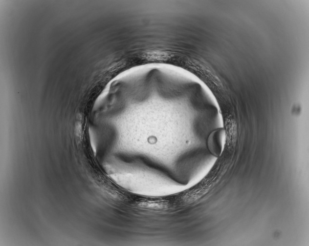 X0000099310655200805231404