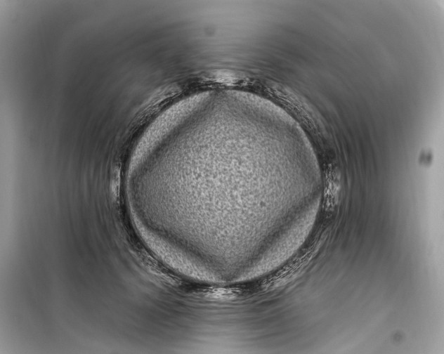 X0000099310656200805231404