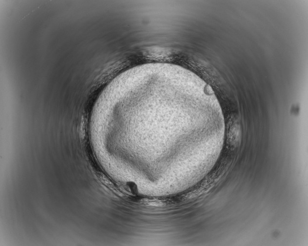 X0000099310658200805231404