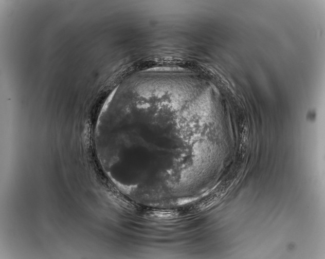 X0000099310659200805231404