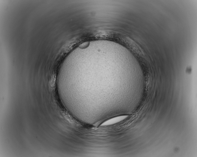 X0000099310660200805231404