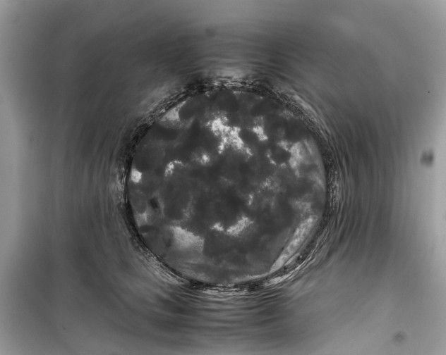 X0000099310661200805231404