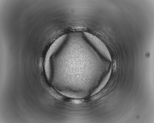 X0000099310662200805231404