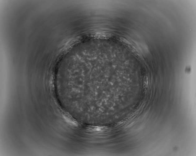 X0000099310663200805231404